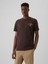 Erkek Kahverengi Everyday Soft Gap Logo Grafikli T-Shirt 1