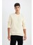 Regular Fit Bisiklet Yaka Kalın Basic Düz Sweatshirt T3777AZ24AU 1