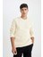 Regular Fit Bisiklet Yaka Kalın Basic Düz Sweatshirt T3777AZ24AU 4