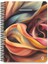 Exclusive Volume Spiralli Fuşya Sert Kapak 100 Yaprak 17*24 Çizgili Defter 1