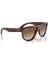 Rayban 501S 6709CB 56 Kadın 4