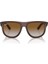 Rayban 501S 6709CB 56 Kadın 5
