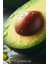 Soğuk Sıkım Avokado Yağı Doğal Avokado Yağı 100ML Avocado Oil 4
