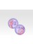 Girl Power 2'Li Magnet Set 1