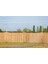 90 Cm X 2 M Reedfence Natural Bambu Kamış Hasır Çit Bahçe Çiti Balkon Çiti 3