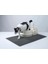 Kedi Kumu Paspası Ideal Ölçü 65 x 45 cm Elekli Kedi Paspası 1