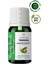 Aromatherapy Tamanu Carrier Oil Tamanu Bitkisel Taşıyıcı Yağ 10 ml 4