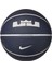 Playground 2.0 8P L James Unisex Basketbol Topu N.100.4372.506.07 Mor 1