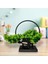 Yapay Çiçek Bonsai Ağacı Çemberli Model Dekoratif Yapay Ağaç Bonzai Yapay Ağaç Masa Ofis 1