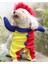 Soytari Onden Giydirmeli Köpek Kıyafeti Kostümü 3