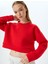 Crop Spor Oversize Sweatshirt Basic Bisiklet Yaka Şardonlu 1