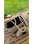 Bailey 3lü Takım Plaj Çantası , El Çantası Clutch, Şapka, Totebag,çanta, Yazlık, Hediyelik 3