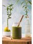 - Bamboo Straws - Mıxed 4' Lü Set - Bambu Pipet 2