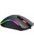 MG14 Rgb Li Gaming Oyuncu Mouse 2