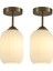 Mylights Iki Adet Rustik Vintage Opal Camlı Tavan Plofonyer Avize 14 Cm Cap 2