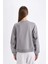 Regular Fit Bisiklet Yaka Baskılı İnce Sweatshirt D5929AX24AU 4