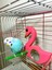 Flamingo Figürlü Aynalı Kuş Tüneği 3