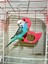 Flamingo Figürlü Aynalı Kuş Tüneği 4