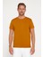 Erkek Slim Fit Dar Kesim Pamuklu Yumuşak Dokulu Esnek Kumaş Düz Basic Taba Bisiklet Yaka T-Shirt 2