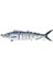Bas Çok Eklemli Swimbaits Için Gerçekçi Alabalık Mavi (Yurt Dışından) 1