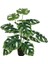 Yapay Monstera Ağacı 60 cm 3