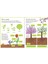 My First Book About How Things Grow - Felicity Brooks 4