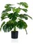 Siyah Saksıda Yapay Monstera Ağacı 60 cm 1