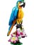 31136 LEGO Creator 3in1 - Egzotik Papağan 253 Parça +7 Yaş 2