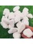 Beyaz Dolomit Taş 15 kg 2-4 cm Dolomit Taş Saksı Dibi Dekoratif Taş Bahçe Süsleme Taşı Peyzaj No.4-5 2