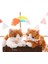 Peluş Oyuncak Kedi - 36 cm Sesli 3