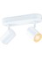 Imageo Spot Tavan Lambası Ayarlanabilir Beyaz & Renk 2 x 5w Beyaz Tekli Paket 1