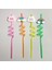 5 Parça Renkli Pipet Seti - Emojili Spiral Kokteyl- Çocuk Pipeti Temizleme Fırçalı 3