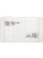 Flora Runner 50X170 1