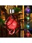 3 Adet Dekoratif Bağ Bahçe Balkon Dış Mekan Solar Güneş Enerjili Dekoratif Rgb LED Işık Spiral Işık Solar Rüzgar Gülü 4
