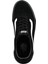 Mn Ward Vansguard 3