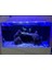 Bar LED Aydınlatma Royal Mavi 60CM 2