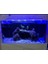 Bar LED Aydınlatma Royal Mavi 60CM 3