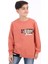 Erkek Çocuk Baskılı Sweatshirt 3