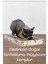 Tırmata Yeni Ürün Doğal Düz Karton Kedi Tırmalaması Kedi Tırmalama Tahtası Kartonu 47X17 cm 4