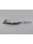 Renault Clio 4 Hb 16/20 Stop Alt Çıtası Sol Ni̇kelajlı Iç/dış Set 2
