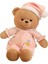 Sevimli Girly Kalp Ayı Bebek Iyi Geceler Ayı Peluş Oyuncak Hediye (Yurt Dışından) 1