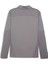 Teamfinal Training 1/4 Zip Erkek Futbol Antrenman Uzun Kollu Üst 65855113 Gri 2