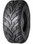 Irc 25 x 10 - 12 Atv Dış Lastik Anlas 1