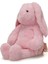 Pelus 3D Tvsn 4pr Pembe Kız Çocuk Peluş Çanta 2