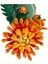 10368 LEGO Icons - Krizantem - Chrysanthemum 278 Parça +18 Yaş 4