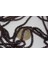 Çeyrek Dizi (9cm Uzunluğundadır!) Lal (Granat) (Garnet) Taşı Çeyrek Dizi 3mm 5