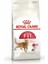 Regular Fit 32 Yetişkin Kedi Kuru Maması 2 kg 1