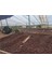 (Exclusive) Ethiopia Banko Gotiti Filtre - 1kg 3