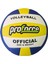 VL-100 Voleybol Topu 1