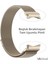Samsung Galaxy Watch 7 Fe 6 5 4 40-42-43-44-45-46-47 mm ile Uyumlu Kordon Tam Uyumlu Pimli Metal Hasır Çelik Kayış 3